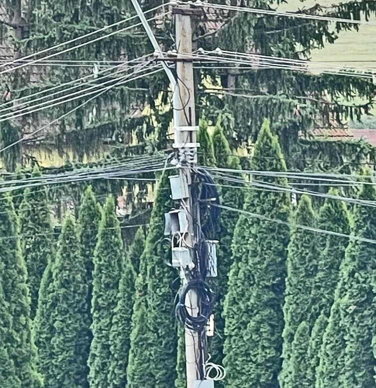 Fibra optica